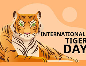 International Tigers Day